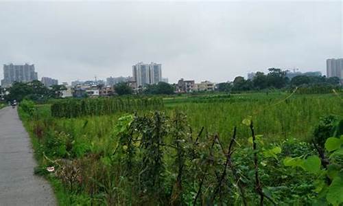 始兴天气预报一周7天_始兴天气预报