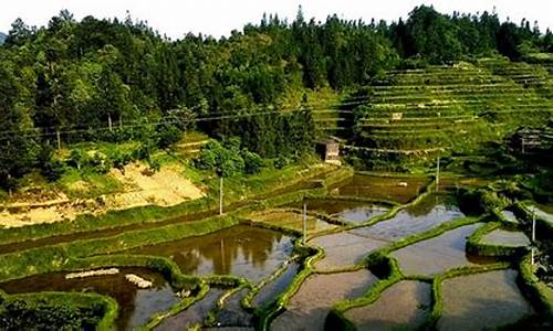 贵州从江天气_从江天气