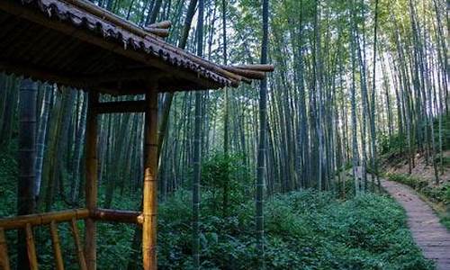 蜀南竹海天气预报一周 7天准确_蜀南竹海