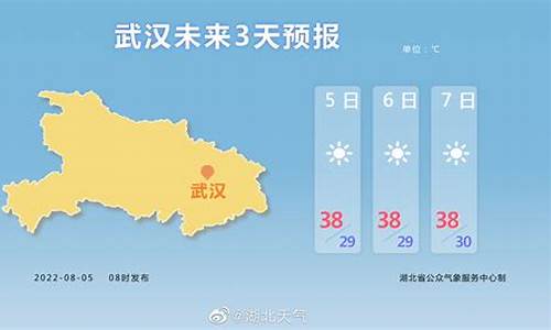 武汉天气预报30天准确一个月查询_武汉天