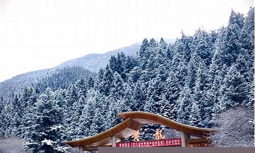 龙山天气预报15天气_龙山天气预报15天