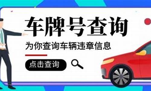车辆违章查询直接输入车牌号_车辆违章查询