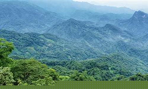 都江堰青城山天气预报_都江堰青城山天气预报7天