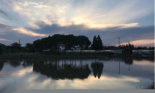 上海奉贤天气15天预报_上海奉贤一周天气
