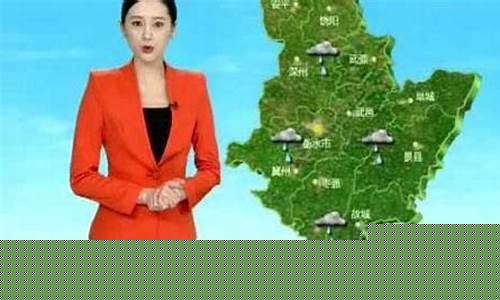 衡水天气预报一周7天实时_衡水天气预报一
