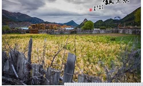 然乌镇天气预报一周天气_然乌镇天气预报