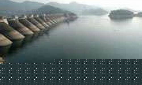 金寨天气预报40天_金寨天气预报40天准