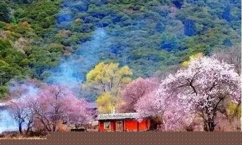 3月4月旅游最佳旅游景点_3月4月旅游最