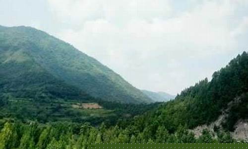 凤县天气预报今天_凤县天气预报一周七天