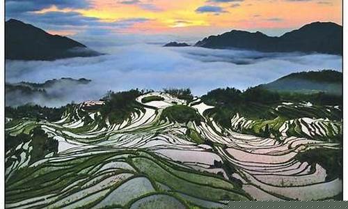 丽水天气预报一周天气预报查询最新_丽水天