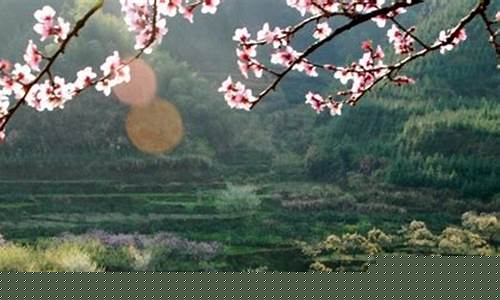 乐昌天气预报15天_乐昌天气预报15天查