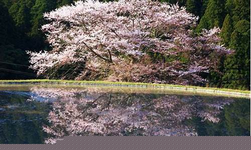 奈良天气预报_奈良天气