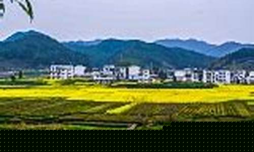高安市一周天气_高安一周天气预报一周气温