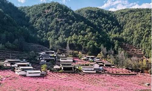 丽江一周天气预报10天准确最新_丽江一周