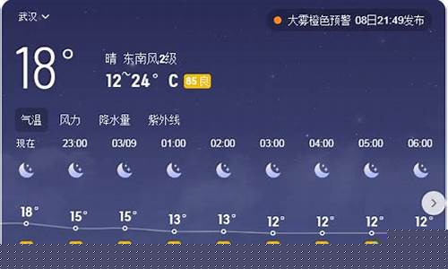 武汉天气预报15天30天旅游_武汉天气预