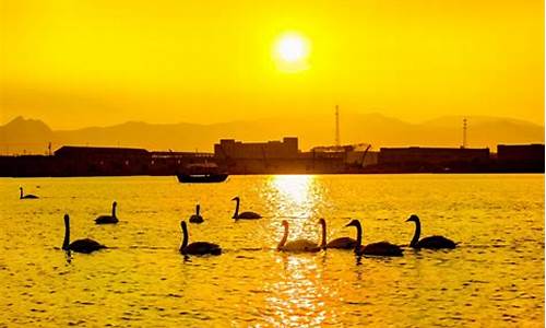 东营旅游景点大全_东营旅游景点大全排名一日游