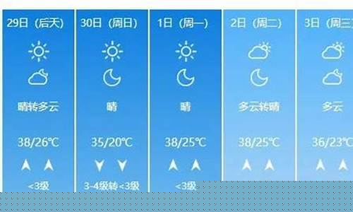 聊城一周天气预报15天查询系统表格_查看聊城一周天气