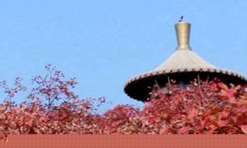 桐柏天气预报_桐柏天气预报30天查询百度