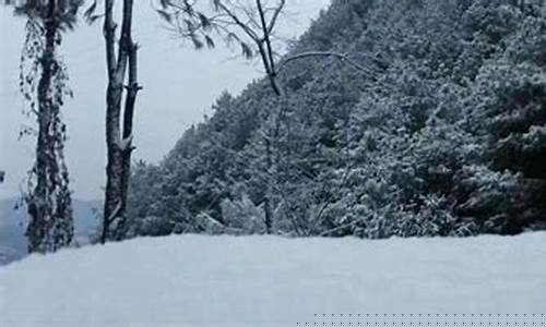 重庆梁平40天天气预报_梁平天气40天