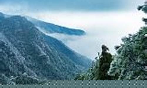 万安天气_万安天气40天