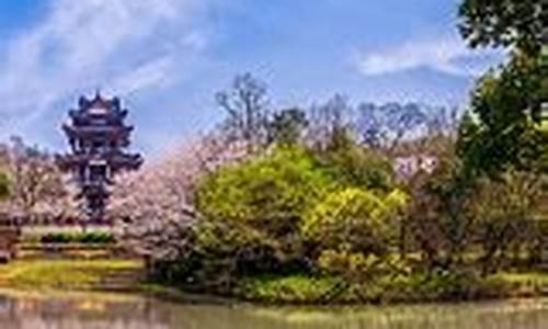 大丰天气预报30天查询结果电话_大丰天气预报30天查询结果