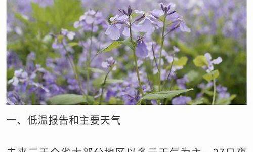 扬州未来一周天气趋势预报最新版_扬州未来一周天气趋势预报最新