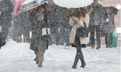 东京未来15天天气预报_东京天气预报15天查询结果