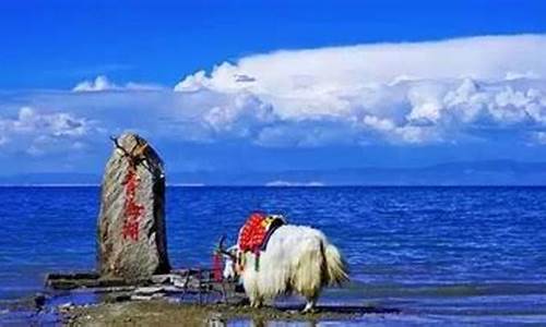 青海最值得去的几个景点_青海哪些旅游景点