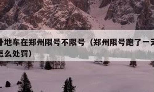 限号跑了一天怎么处罚_限号跑了一天怎么处罚