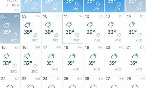 株洲市一周天气查询最新消息最新_株洲市最近一周天气预报