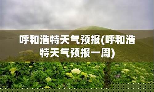 呼市天气预报呼和浩特天气预报_呼和浩特天气预报一周天气