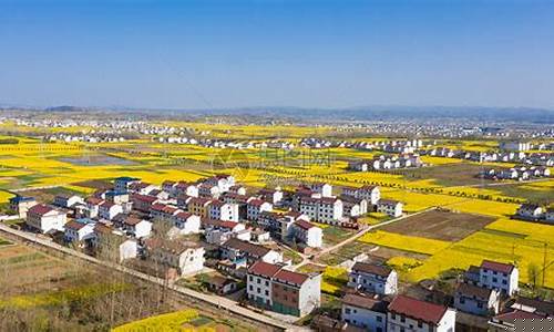 陕西洋县天气_陕西洋县天气预报15天查询最新消息