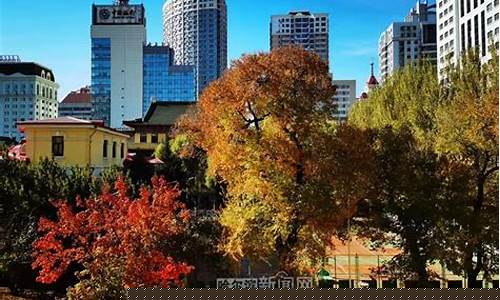 哈市一周天气预报15天气预报15天_哈市一周天气预报15天气