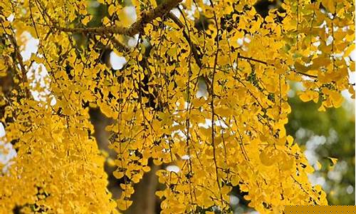 广东南雄天气预报30天_广东南雄天气预报