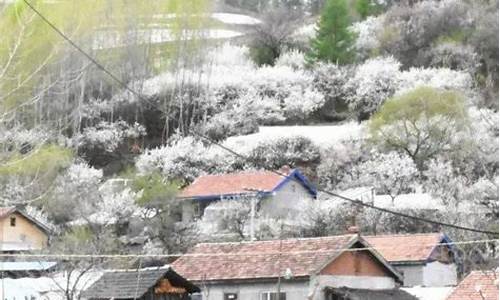 抚松县抚松镇天气预报_抚松地区天气预报