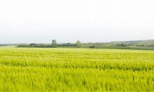 息县天气预报详情_息县天气预报30天查询
