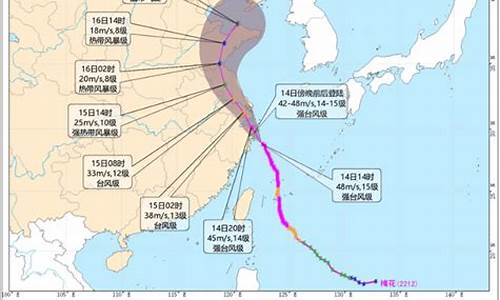 浙江气象台风路径_浙江气象台风路径分布图