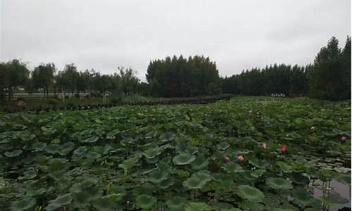 梅河口天气预报24小时详情查询_梅河口天气预报24小时详情查询百度