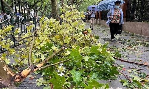 上海台风预报15日_上海台风预报