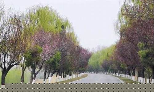 运城河津天气预报_运城河津天气预报一周