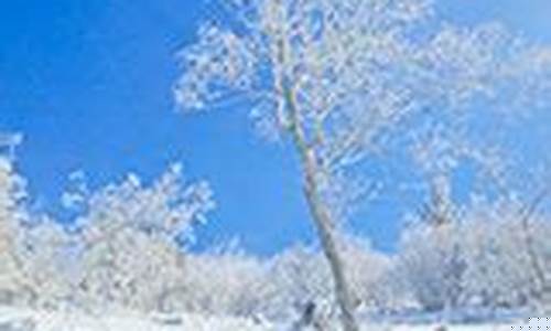 碾子山天气预报40天_碾子山 天气预报