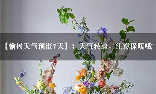 榆树市天气预报15天查询百度_榆树市天气预报