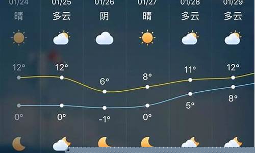 天气预报15天项城市查询_天气项城天气预报15天